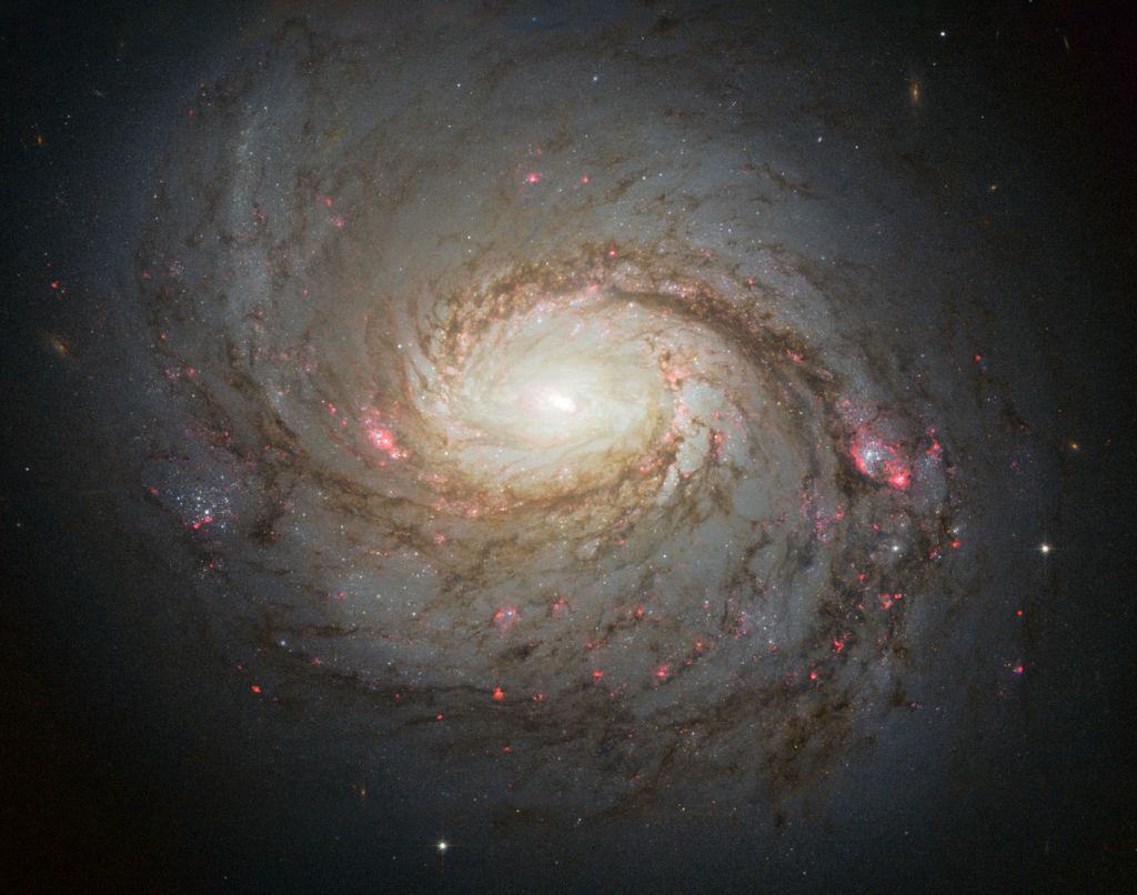 アイスキューブ・ニュートリノ観測所、4700万光年彼方の活動銀河から流れ出るニュートリノを検出