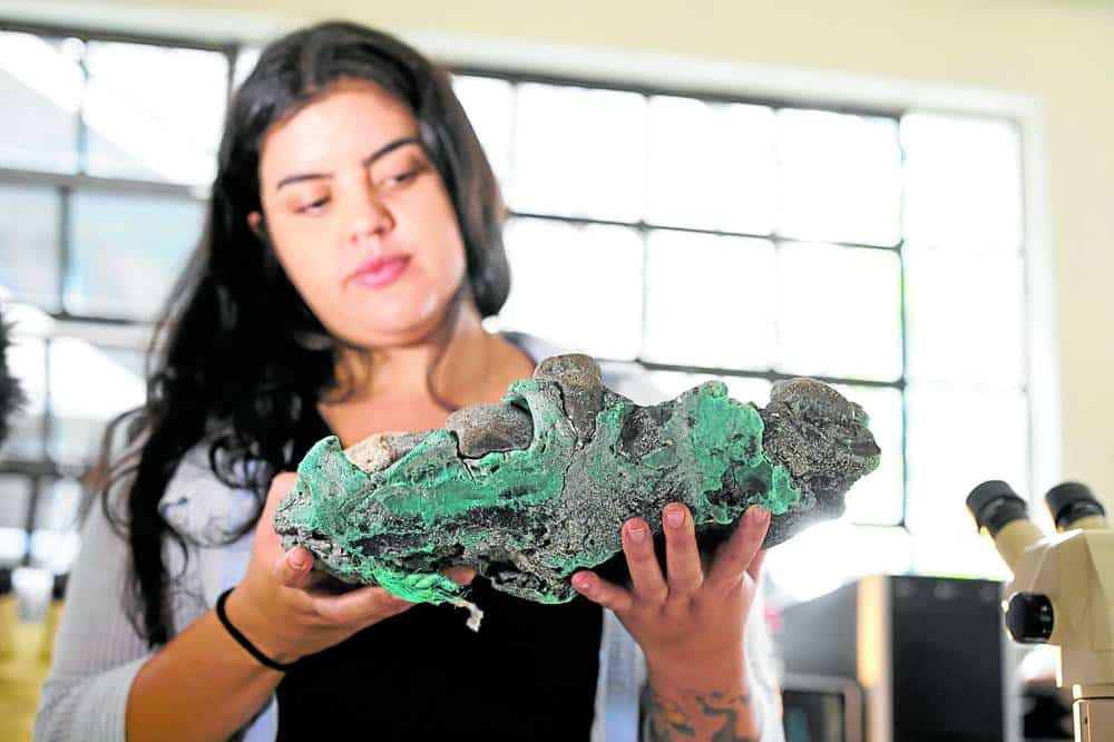 プラスチックゴミで作られた“岩”が見つかったという恐ろしい発見が報告される