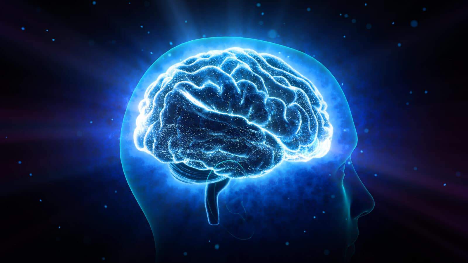 人間の脳のように記憶し、思考する生成AIモデルを使うことで、人間の脳に関する記憶の理解が加速する